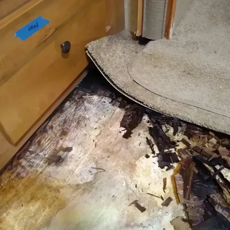 Wood Floor Water Damage in Buckingham, FL